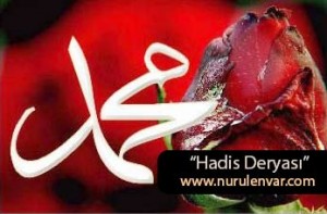 Hadis deryasından hikmetli hadisler